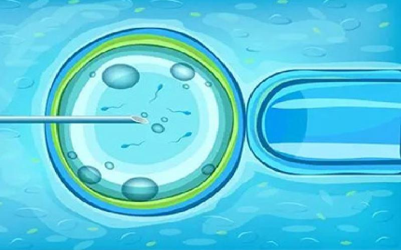 试管婴儿 融合代生